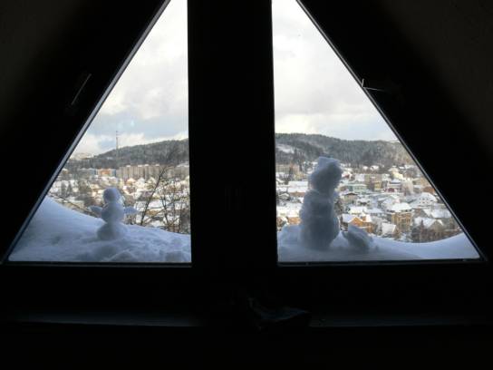 Sněhulák za oknem