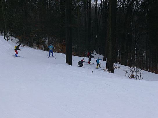 8. Cesta na lyžích

