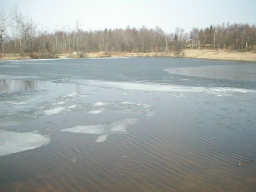 Rybník s úlomky ledu