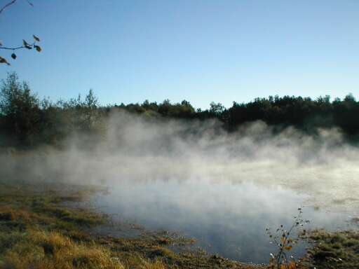 Ranní mlha nad rybníkem II