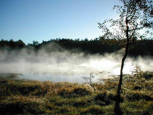 Ranní mlha nad rybníkem po východu Slunce