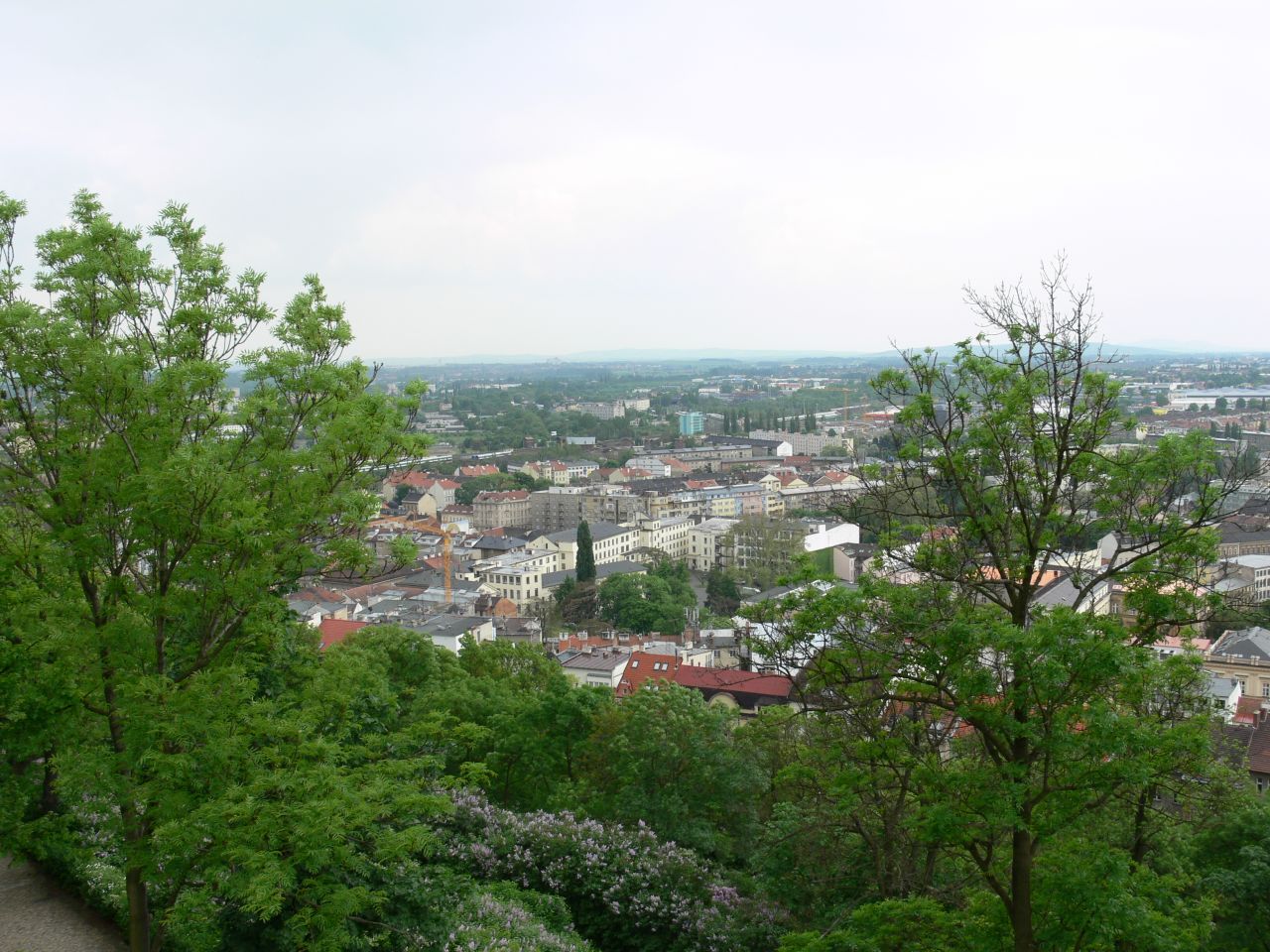 Výhled na Brno