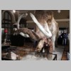 20. Exponát v muzeu – mamut
