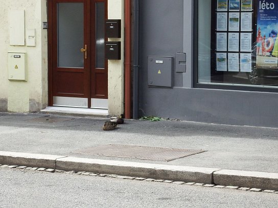 8. Kachny na chodníku
8. Kachny na chodníku