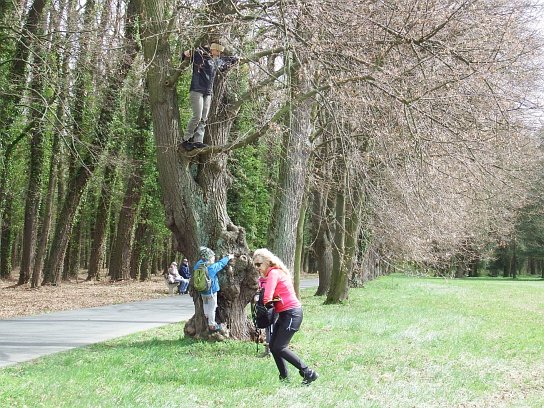 20. Na stromě
20. Na stromě