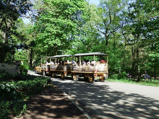 22. Safari expres
22. Safari expres