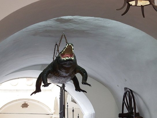 34. Brněnský drak
34. Brněnský drak