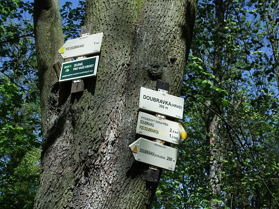 14. Turistické směrovky na Doubravce
