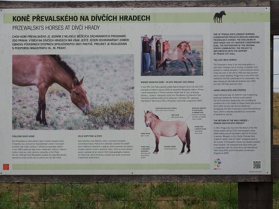 13. Informační tabule
