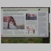 13. Informační tabule
