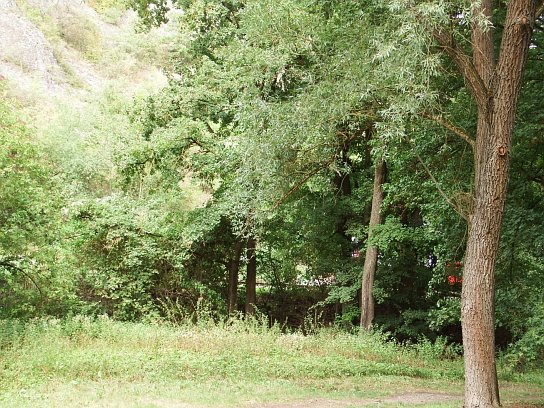 23. Schovaný vlak
