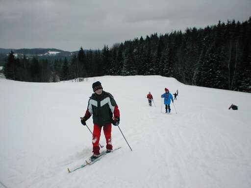 Na cvičné louce