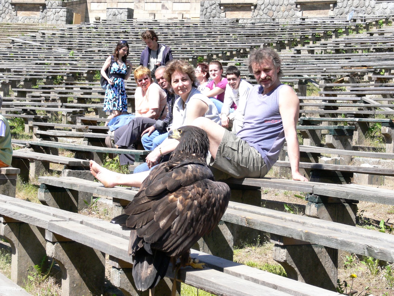 V ZOO, výcvik dravců