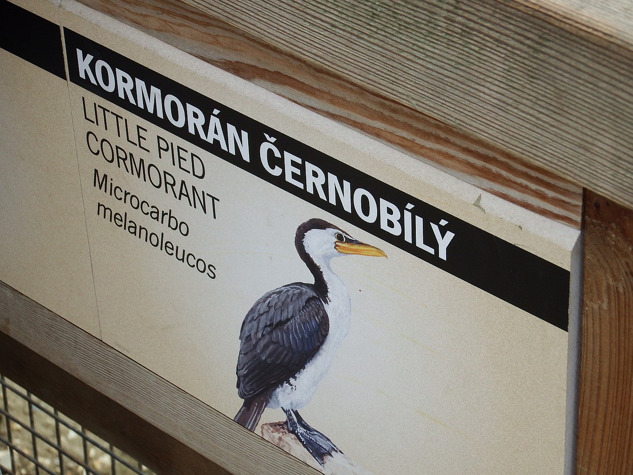 16. Popisek kormorána
