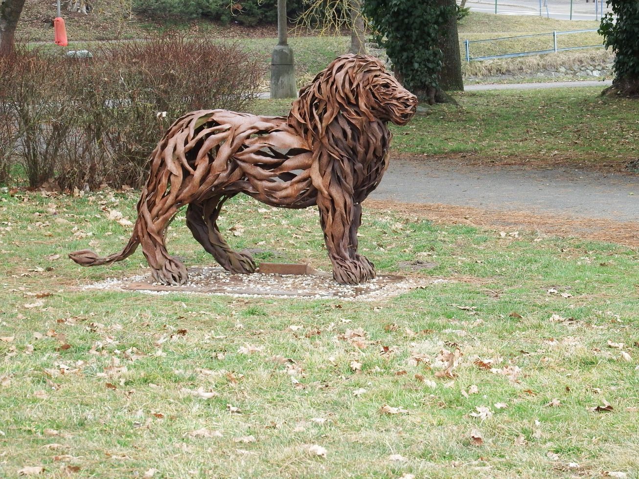 6. Zvíře
