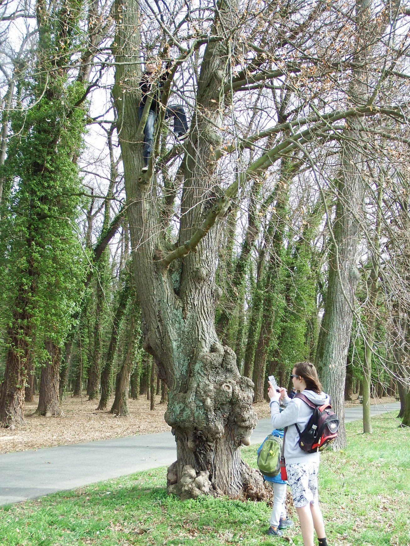21. Na stromě
