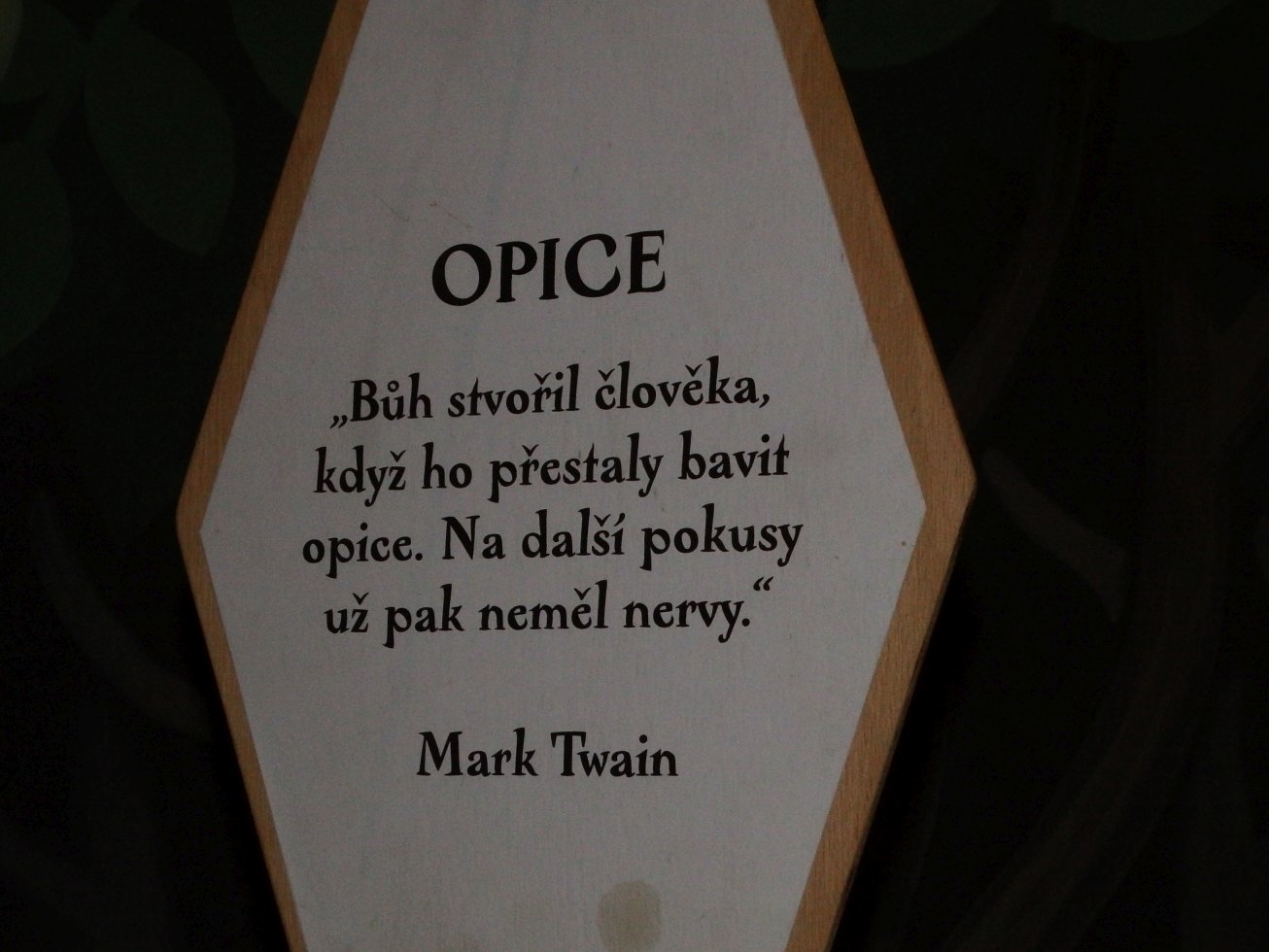14. Informace o opicích
