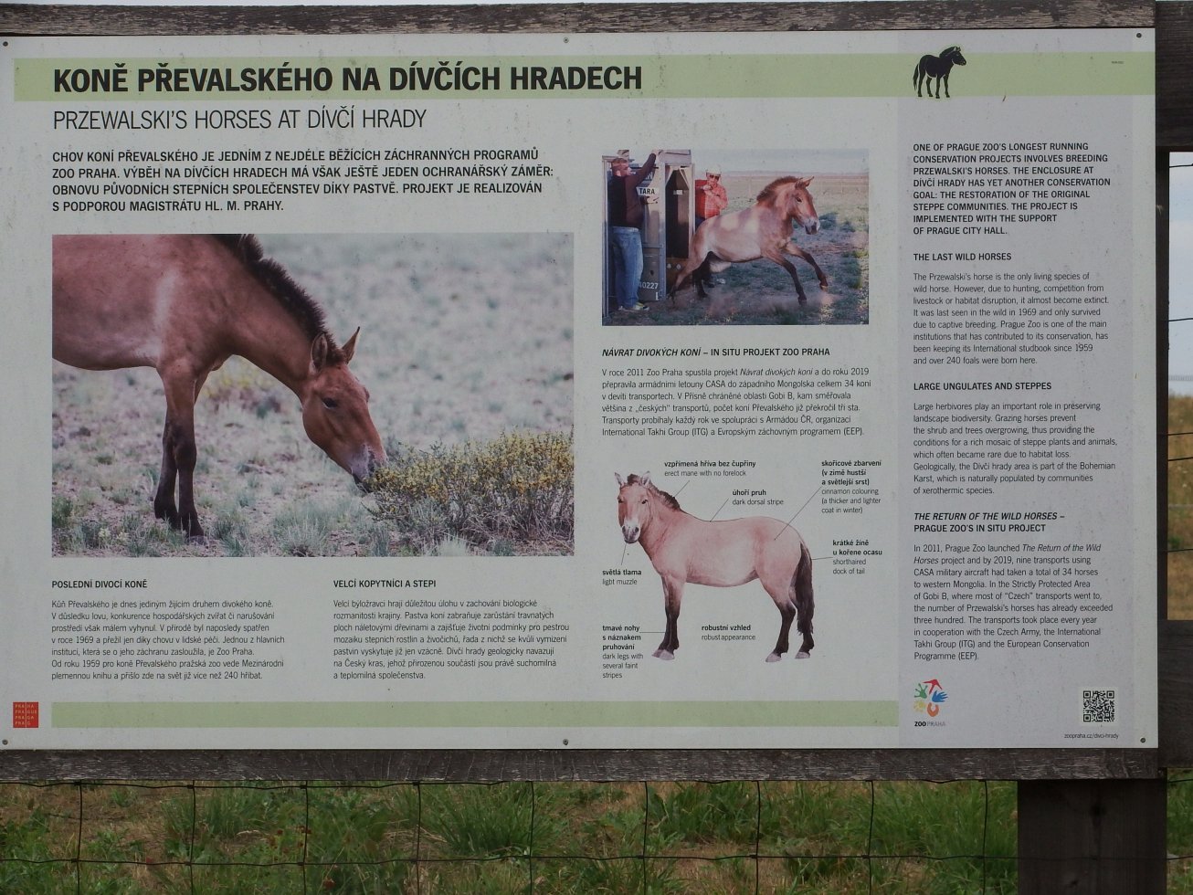 13. Informační tabule
